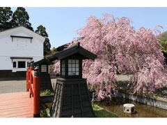 ���O�ˉ��~�̂�������̎ʐ^1