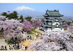 �O�O������܂�̎ʐ^1