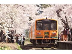 ��������̍��̎ʐ^1