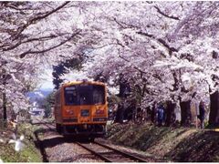 ���؍��܂�̎ʐ^1