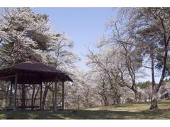 �ږ�����̍��̎ʐ^1