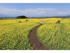 �؂̉ԃt�F�X�e�B�o��in�悱�͂܂̎ʐ^1