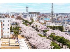 �\�a�c�s�t�܂�̎ʐ^1