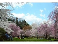 ����̂֏t�܂�̎ʐ^1