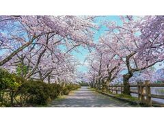 ���삳����܂�̎ʐ^1