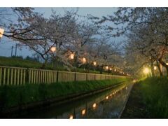 ���쌴�Ό������ӂ̍��̎ʐ^1