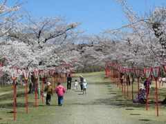 �ނ��܂�i���|�������j�̎ʐ^1