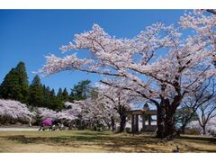 �ނ��܂�i�����r�����j�̎ʐ^1