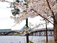 �߂̕������C�H�������L�O�@�߂̕����t�܂�̎ʐ^1