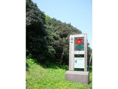 �֎R�@���u�c�o�L�̌����̎ʐ^1