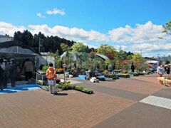 ���ˎs�Ή��܂�̎ʐ^1