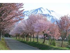 ��؎R�̍����؂̎ʐ^1