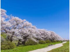 �k��W���n������܂�̎ʐ^1