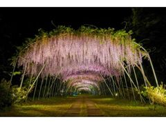 �����������̋��@���̃g���l�����C�g�A�b�v�̎ʐ^1