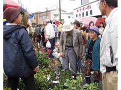 �t�̉Ԑ�ݎs�̎ʐ^1