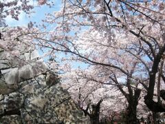 ������Ռ����@����������܂�̎ʐ^1