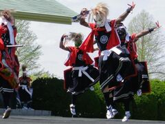 �S�̊ف@�|�\�����i4���j�̎ʐ^1