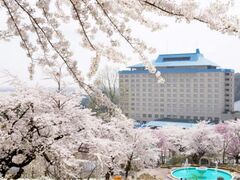 �Ԋ�����̍��̎ʐ^1