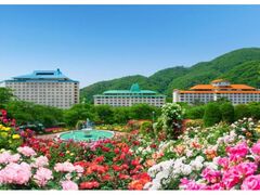 �Ԋ�����o�����̃o���̎ʐ^1