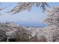 ��R���E�B�[�N�̎ʐ^1