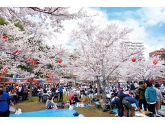 �������@�N���Ԍ��̎ʐ^1