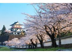 �O�J����R�����̍��̎ʐ^1