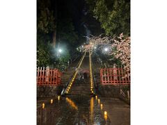 �������܂��ܐ_�X�̉ԓ���̎ʐ^1