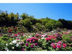 ���֐��_�Ё@�Ԃ܂�̎ʐ^1