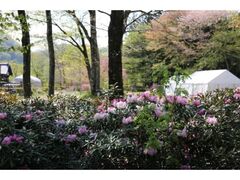 �H�ۑ��A�����܂�̎ʐ^1