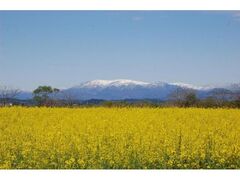 �������؂̉Ԃ܂�̎ʐ^1