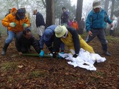 ���V�΂₢�̎ʐ^1