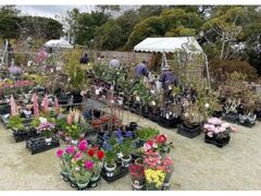 �m�̓s�Â���u�t�̐A�؎s�v�̎ʐ^1