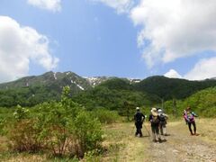 �S�񃏃��f�[�}�[�`�̎ʐ^1