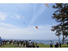 �C����V���܂�̎ʐ^1