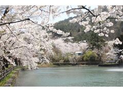 �^�l�����@������܂�̎ʐ^1