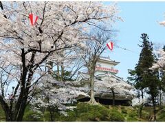 ��H�����̍��̎ʐ^1