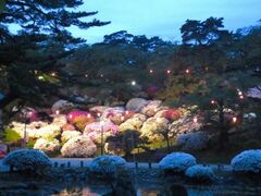 ��H���������C�g�A�b�v�̎ʐ^1