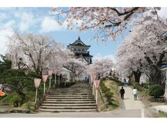 �悱�č��܂�̎ʐ^1