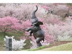 ���{���ԉ�������܂�̎ʐ^1