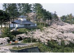 �{��������܂�̎ʐ^1