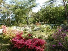 ���ۓ������̂��̎ʐ^1