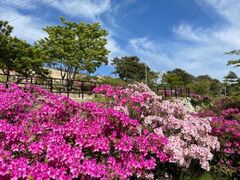 �\��������܂�̎ʐ^1