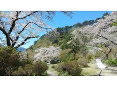 ���݂܂�����܂�̎ʐ^1