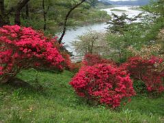 ���݂܂�����܂�̎ʐ^1