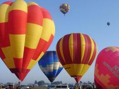 �H�c�X�J�C�t�F�X�^�̎ʐ^1