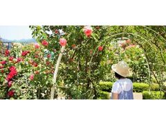 ��كo���܂�̎ʐ^1