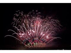 ��Ȃ̉ԉ΁|�t�̏́|�u�V��ԉ΃R���N�V�������E�̉ԉ΁E���{�̉ԉ΁v�̎ʐ^1