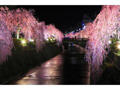 �V�����܂�̎ʐ^1