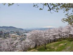 ���͍]�����@������̋u�̍��̎ʐ^1