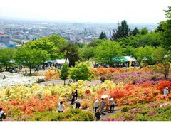 ���͍]���܂�̎ʐ^1